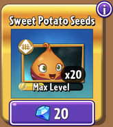 Sweet Potato's seeds in the store (10.2.1, Gold)