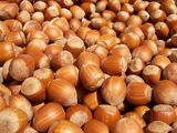 1280px-Hazelnuts