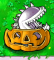 Imitater Chomper in a Pumpkin