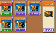 Pumpkin's seeds in the store (10.8.1, Special)