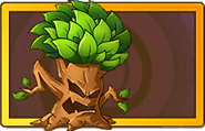 Ents Legendary Seed Packet