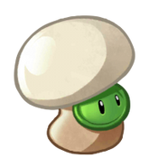 HD Button Mushroom