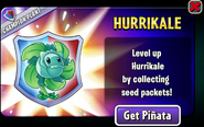 Hurrikale in an advertisement (Fall Champion Plant)