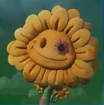 Icon of Stuffy Flower