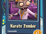 Karate Zombie