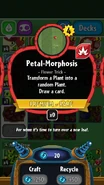 Petal-Morphosis' statistics