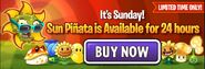 Sun Bean in an ad for the Sun Piñata