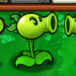 Guisantralladora Wiki Plants Vs Zombies Fandom Un zombi momia con corbata. wiki plants vs zombies