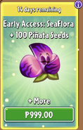 SeaFlora's Early Access Bundle in the store