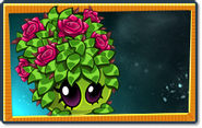 Seed packet