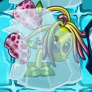 Hammeruit in an iceblock