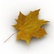 GoldenLeaf.jpg