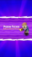 Pigeon Feeder's Splash Screen