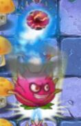 Dragonfruit launching the large fireball (leveled up)