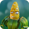 Kernel CornGW2.png