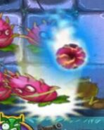 Dragonfruit about to kick the fireball (leveled up)