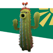 Cactus on the official website