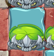 Spikerock on a Lily Pad