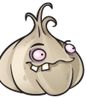 https://static.wikia.nocookie.net/plantsvszombies/images/c/c1/Garlic21.png/revision/latest/smart/width/291/height/332?cb=20200410021354