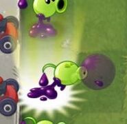 Goo Peashooter about to use its Plant Food ability