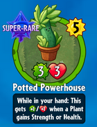 The player receiving Potted Powerhouse from a Premium Pack