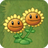 Twin SunflowerAS