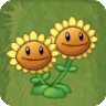 Twin SunflowerAS.png