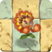 Dancing Match Flower Boxer