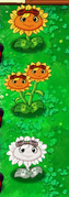 New Solar Flare Sunflowers by BlueCrystalPuffles