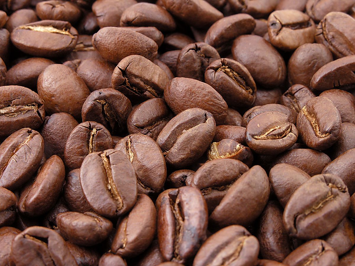 plants vs zombies 1 coffe bean image plants vs zombies 1 coffe bean image