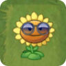 Sunflower (sunglasses)