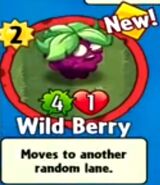 The player receiving Wild Berry from a Premium Pack