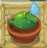Guacadrilo Regado en el Jardin Zen.gif