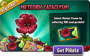 Meteor Flower in an advertisement