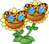 Twin Sunflower (cougar skin shades)