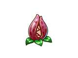 Devour Bloom