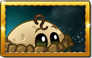 Levitater's seed packet