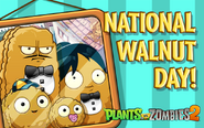 National Walnut Day 2022