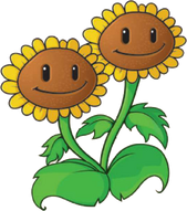 HD Twin Sunflower