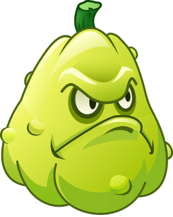 Squash, Plants vs. Zombies Wiki