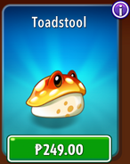 Toadstool in the store (10.9.1, Special)