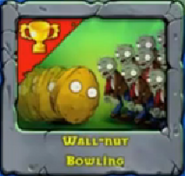 Wall-nut Bowling