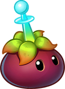 HD Mangosteen