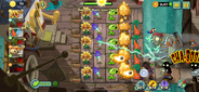Level 13
