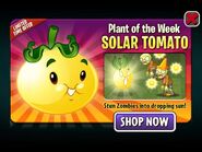 Solar Tomato featured as Plant of the Week