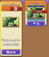 Blockoli's seed packets in the store