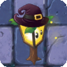 Plantern (witch hat)