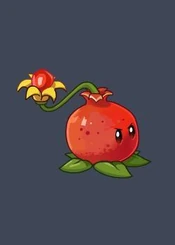 Pomegranate-pult AlmanacO