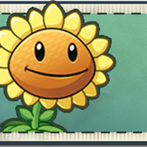 Sunflower Gallery Plants Vs Zombies Wiki Fandom