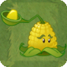 Kernel-pultAS.png